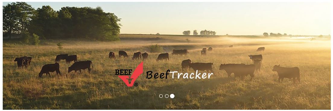 sustainability-beef-tracker-figure-1