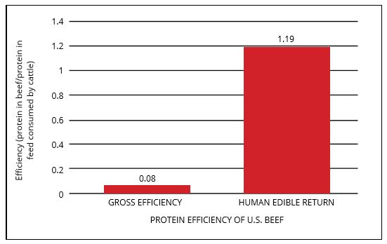 tqa-sustainable-food-system-figure-2