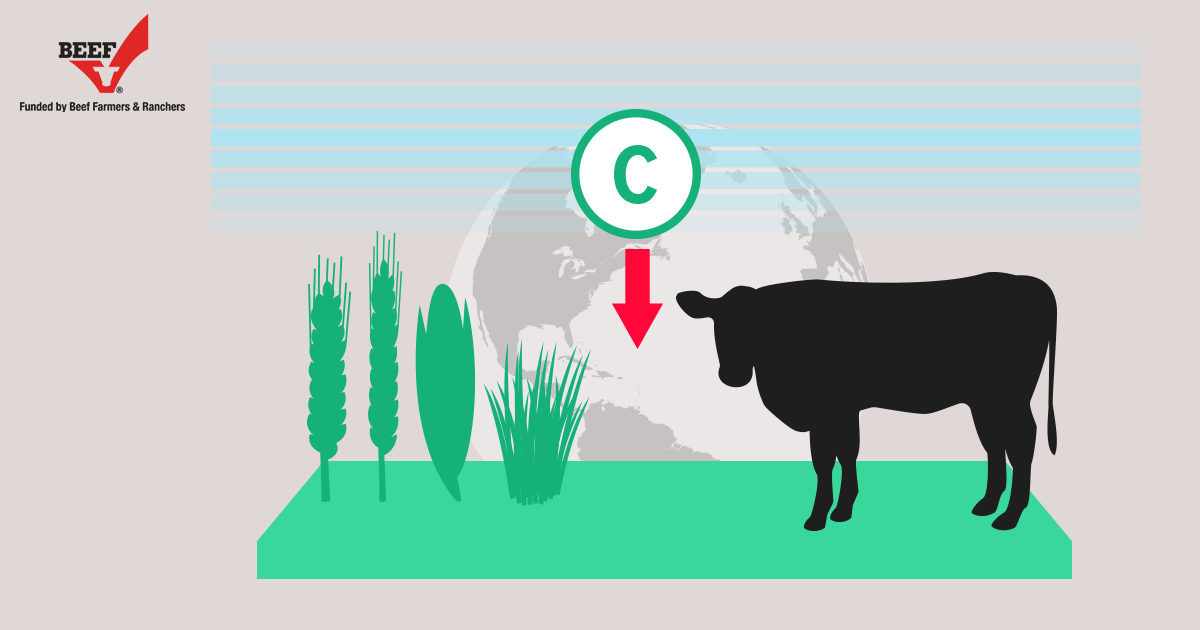 Carbon Sequestration